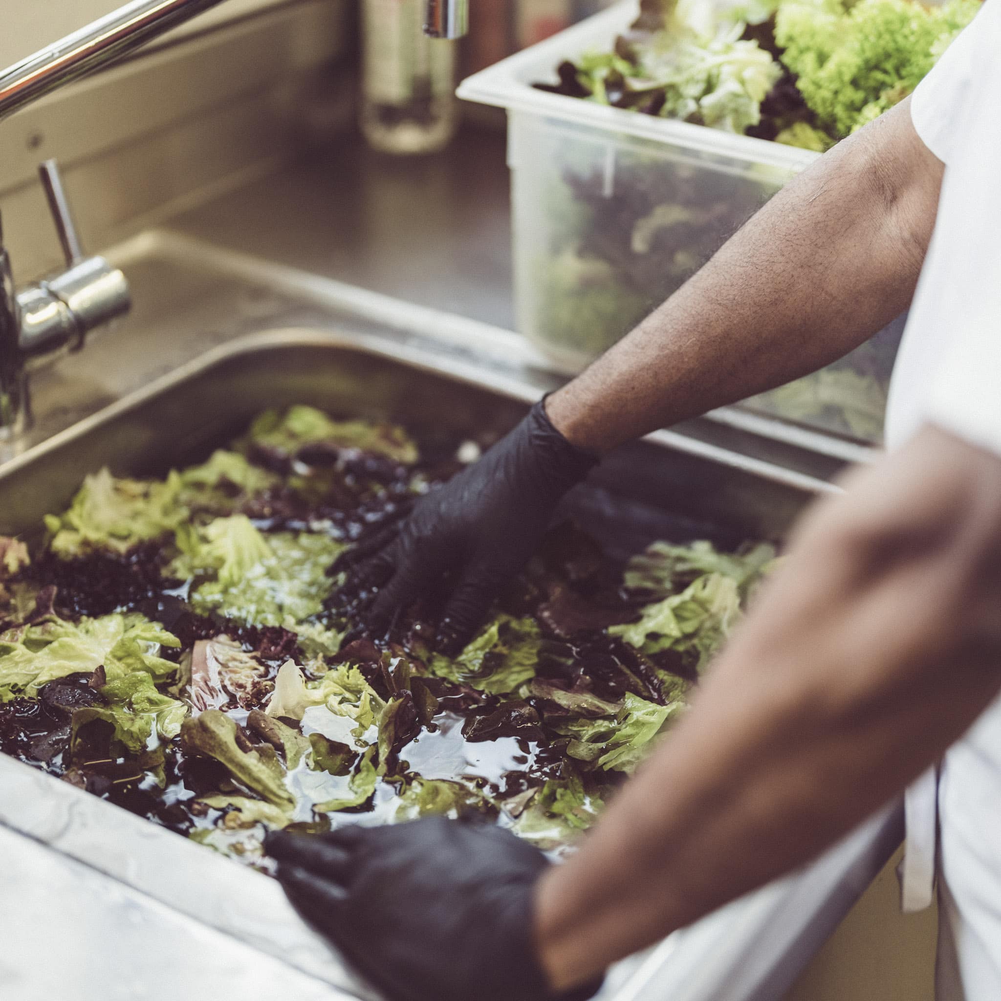 Person wäscht Salat im Waschbecken